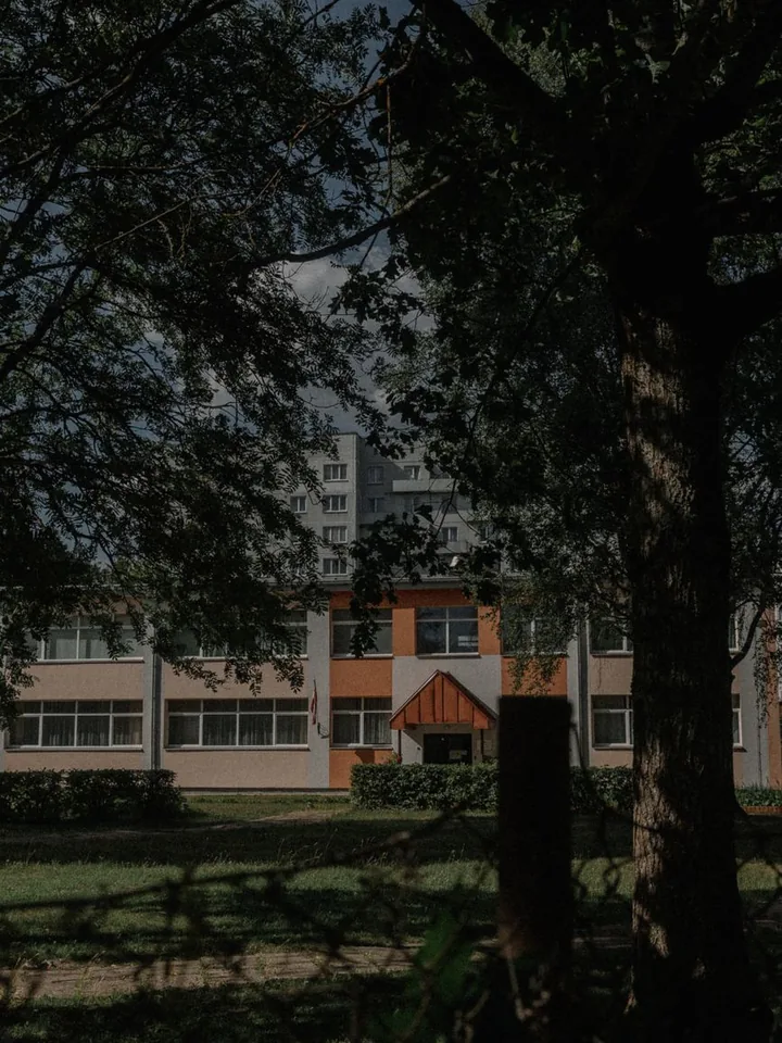 Schulgebäude hinter Bäumen an einem klaren Tag